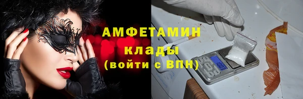 твердый Алексин