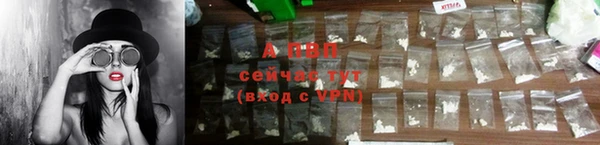твердый Алексин